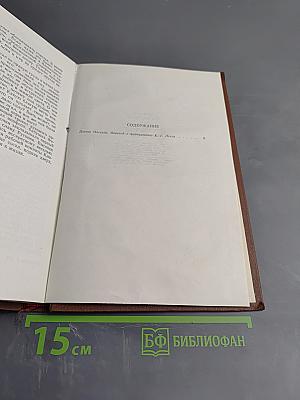 Доктор Паскаль. Том 16