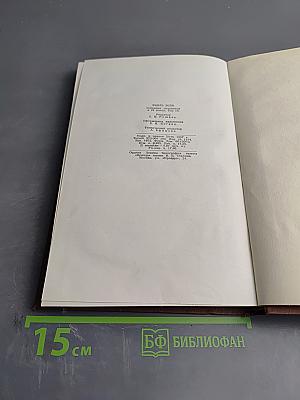 Доктор Паскаль. Том 16