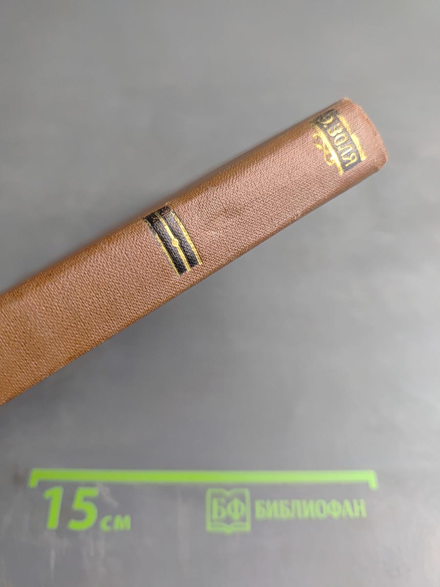 Доктор Паскаль. Том 16