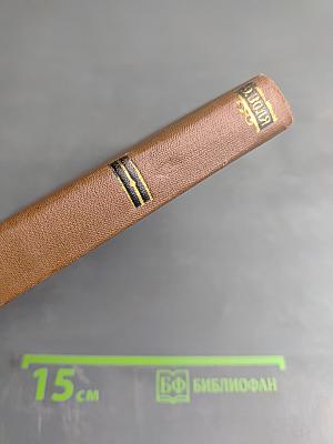 Доктор Паскаль. Том 16