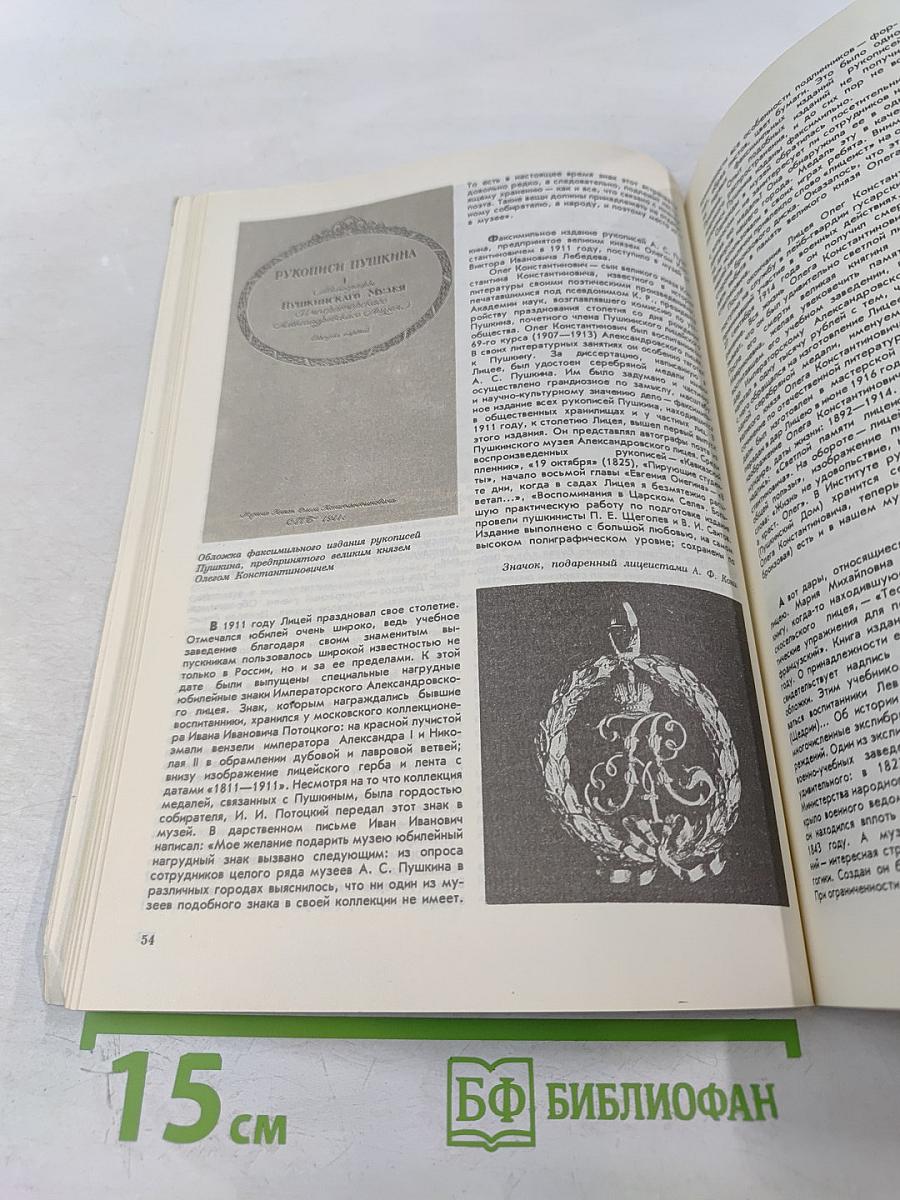 Дома у Пушкина