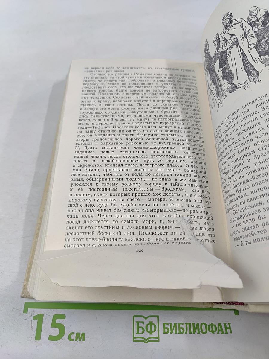 Жизнь и приключения Заморыша