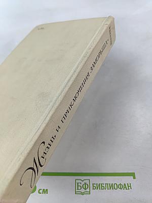 Жизнь и приключения Заморыша