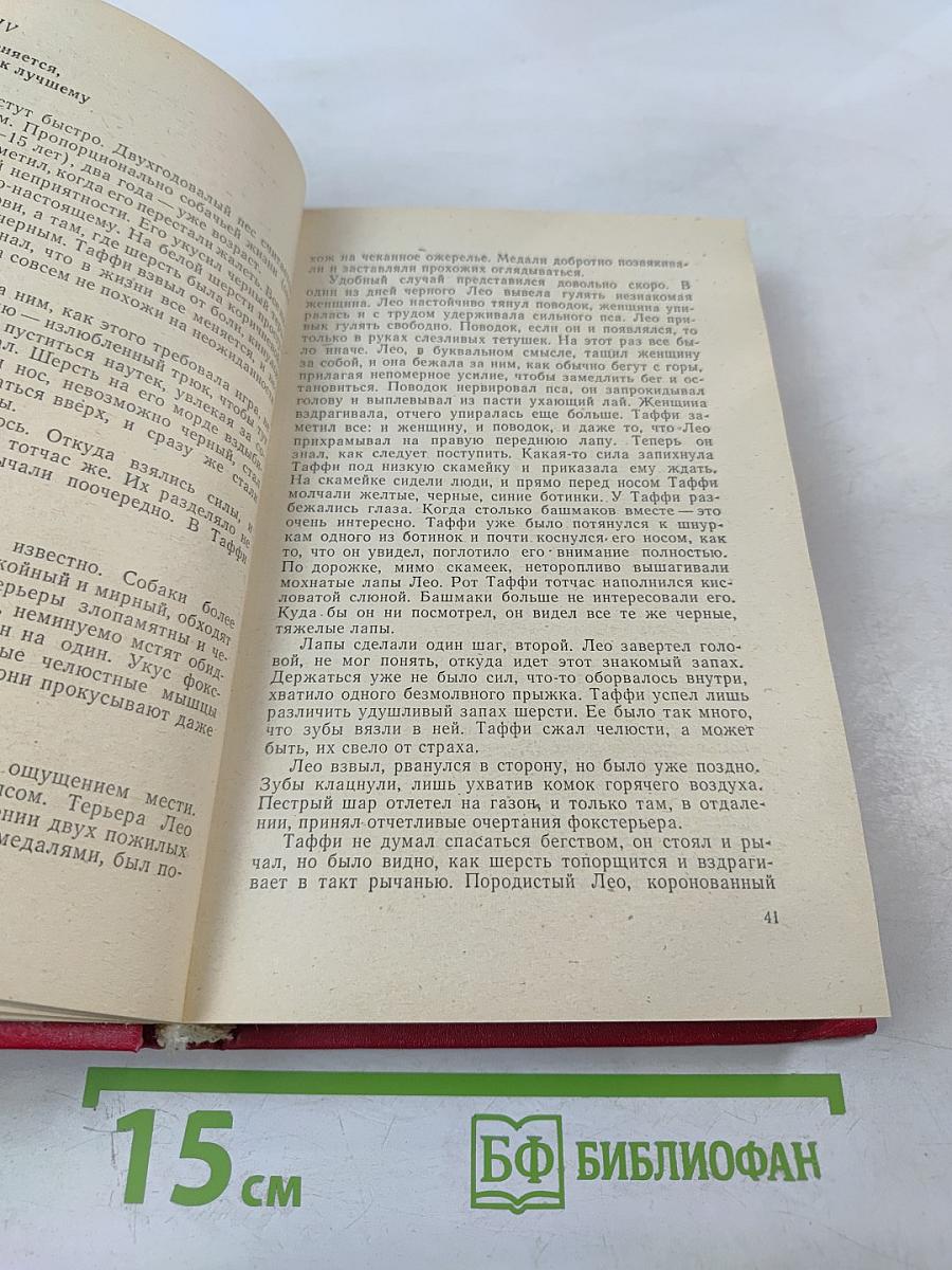 Всегда не виновен