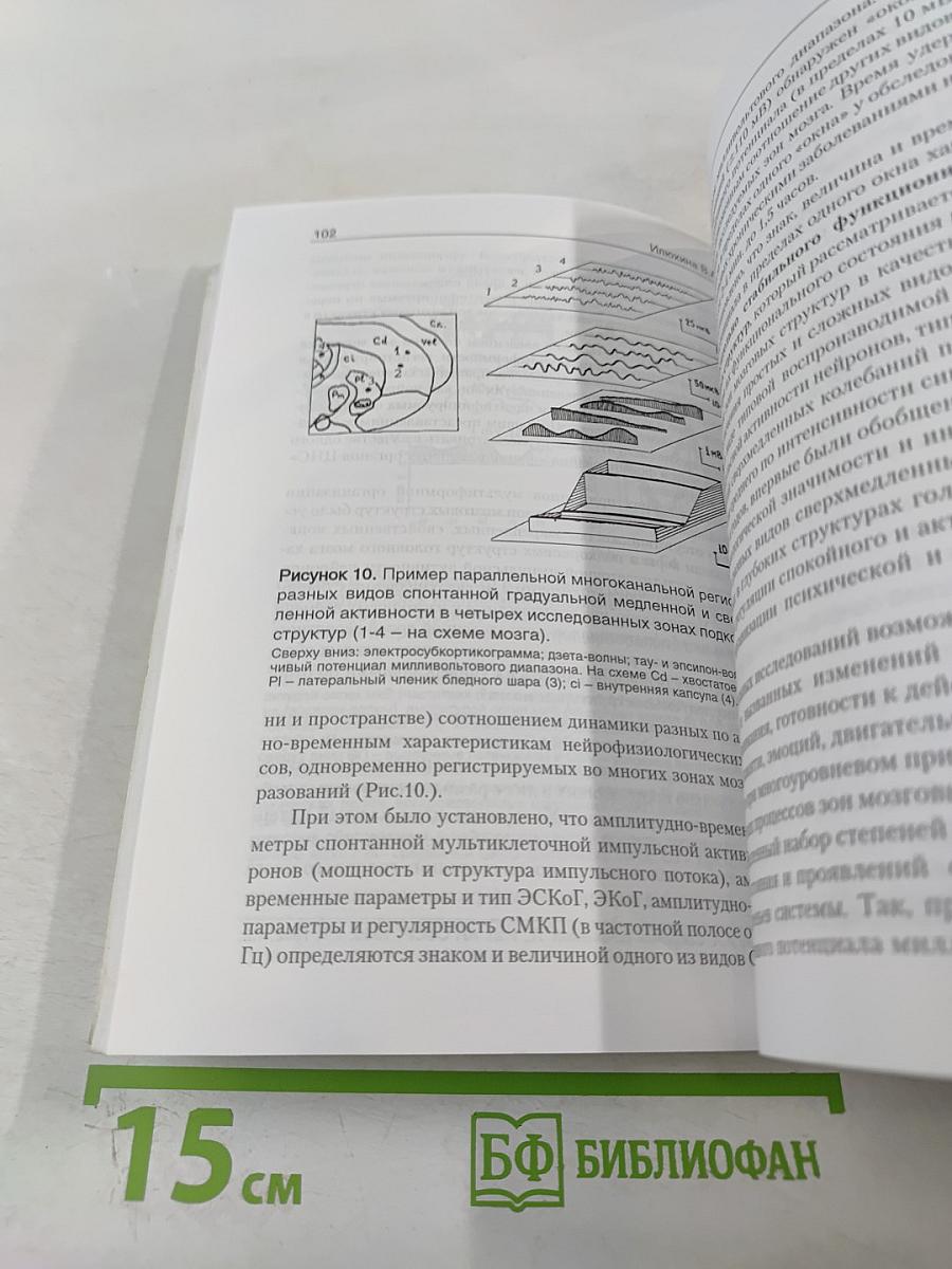 Мозг человека в механизмах информационно-управляющих взаимодействий организма и среды обитания