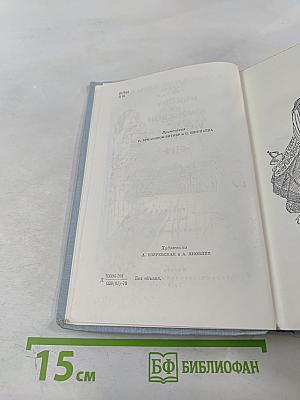 Виконт де Бражелон или Десять лет спустя. Части 3, 4