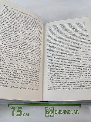 Виконт де Бражелон или Десять лет спустя. Части 3, 4