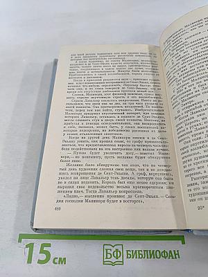 Виконт де Бражелон или Десять лет спустя. Части 3, 4