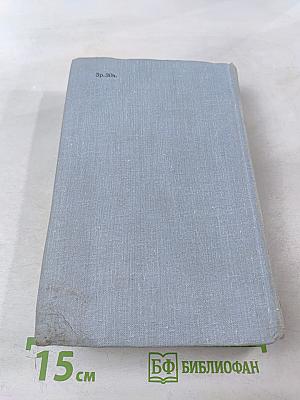 Виконт де Бражелон или Десять лет спустя. Части 3, 4