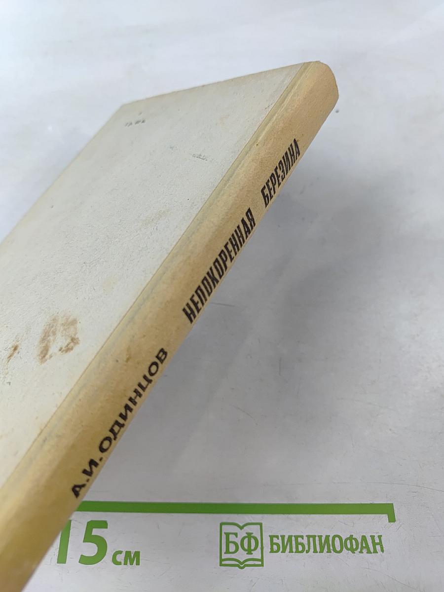 Непокоренная Березина