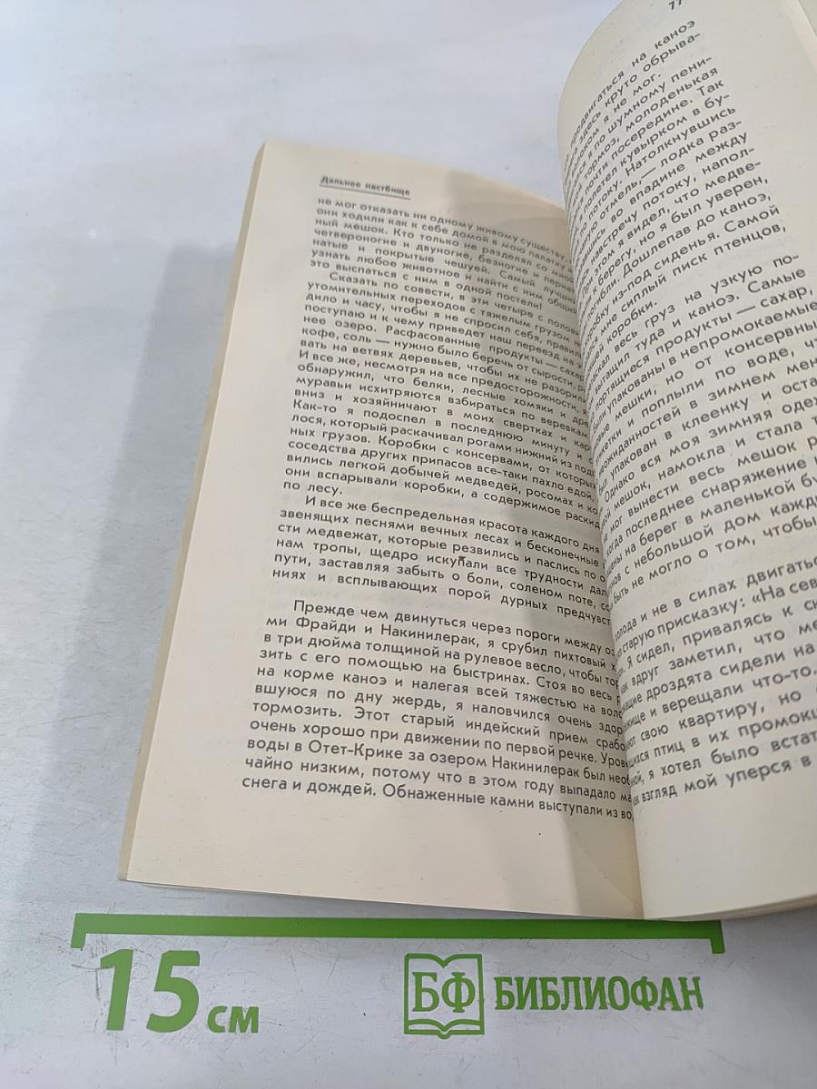 Медведи и Я