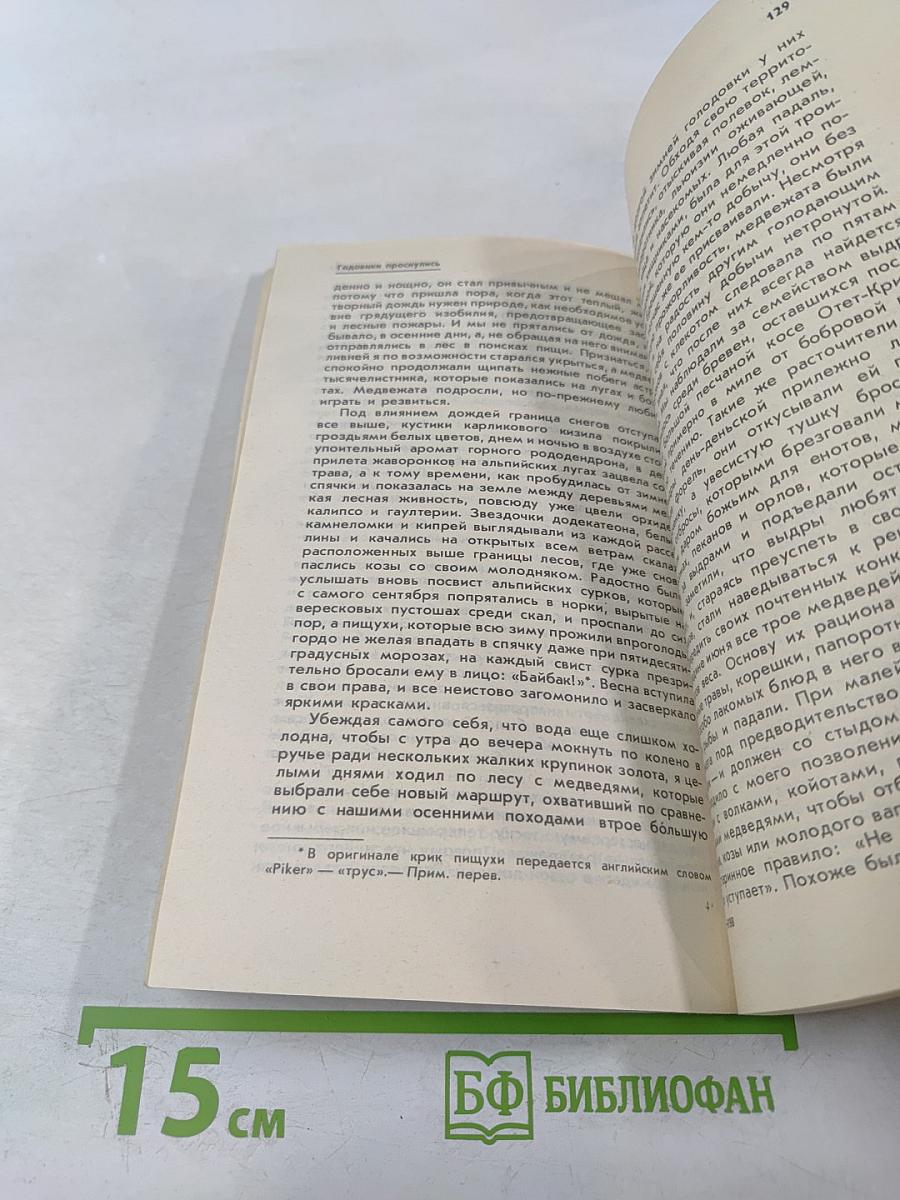 Медведи и Я