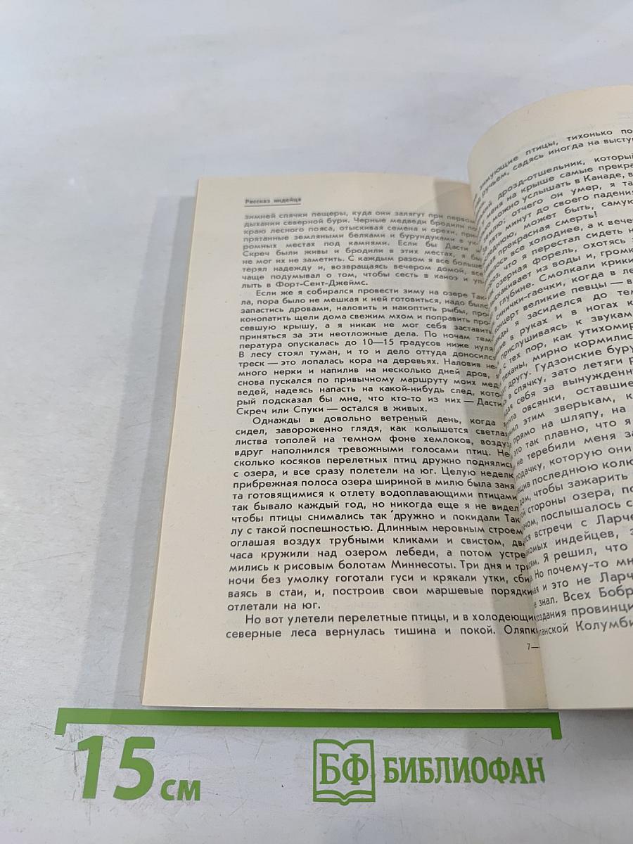 Медведи и Я