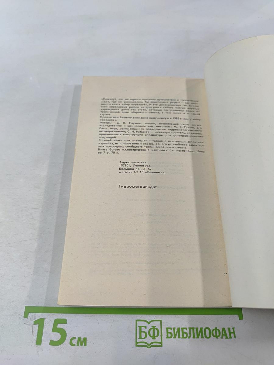 Медведи и Я