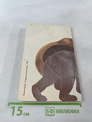 Медведи и Я