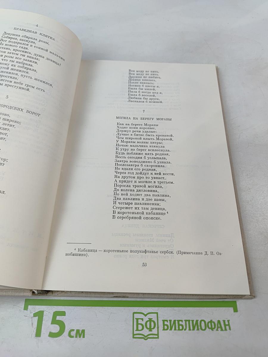 Зарубежные славяне и русская культура