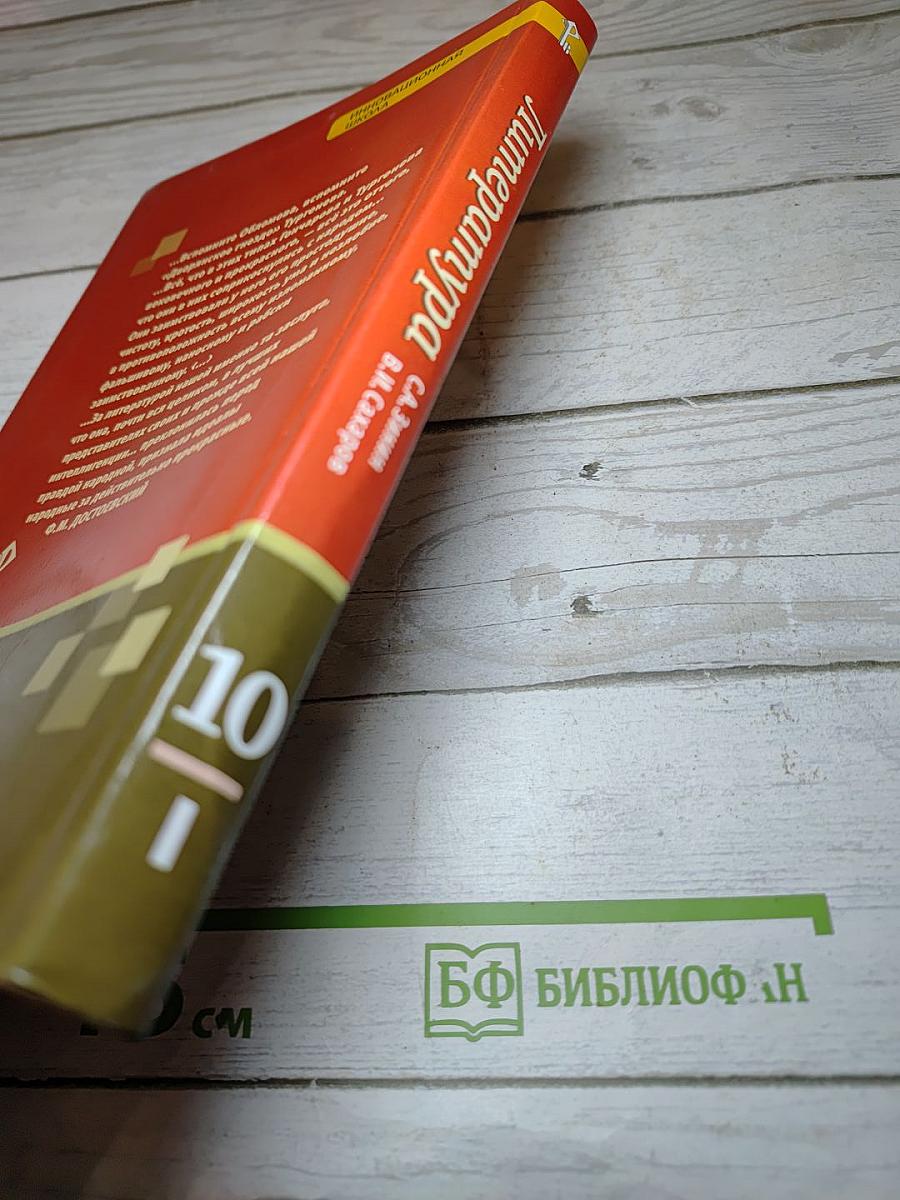 Литература. 10 класс. Часть 1. Базовый уровень