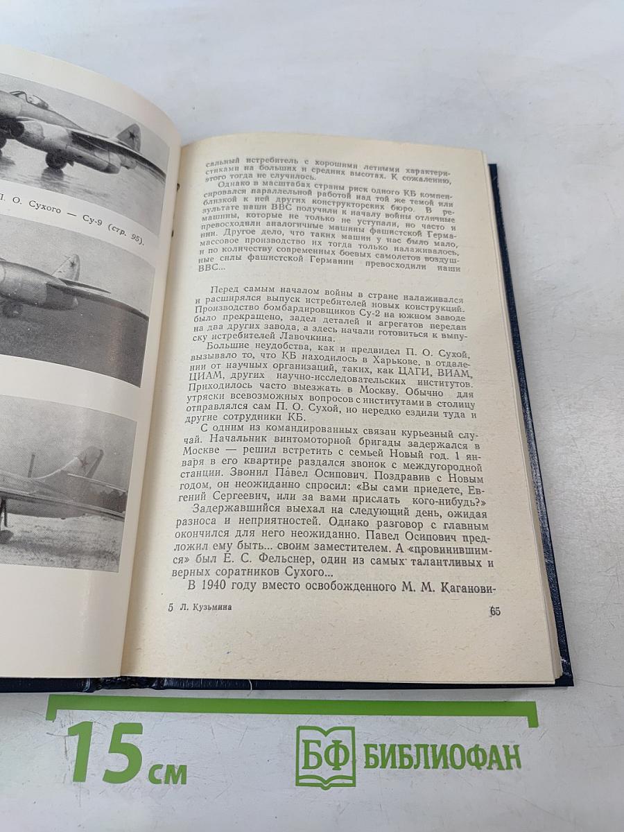 Генеральный конструктор Павел Сухой (Страницы жизни)