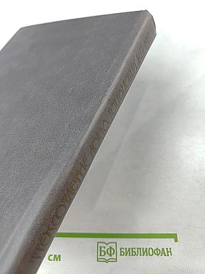 Трехсотлетие Дома Романовых 1613-1913