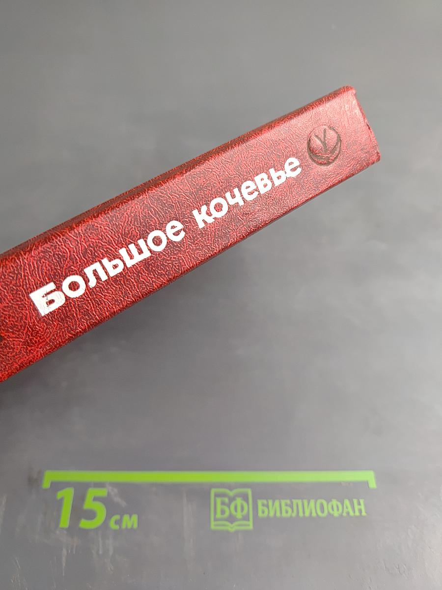 Большое кочевье