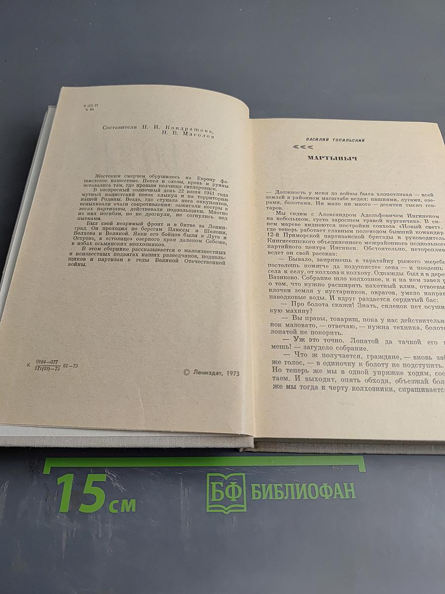 Розы на снегу