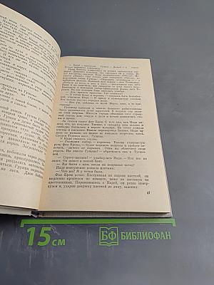 Розы на снегу