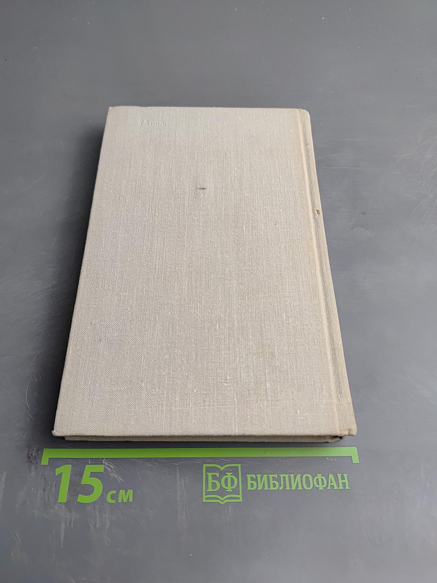 Розы на снегу