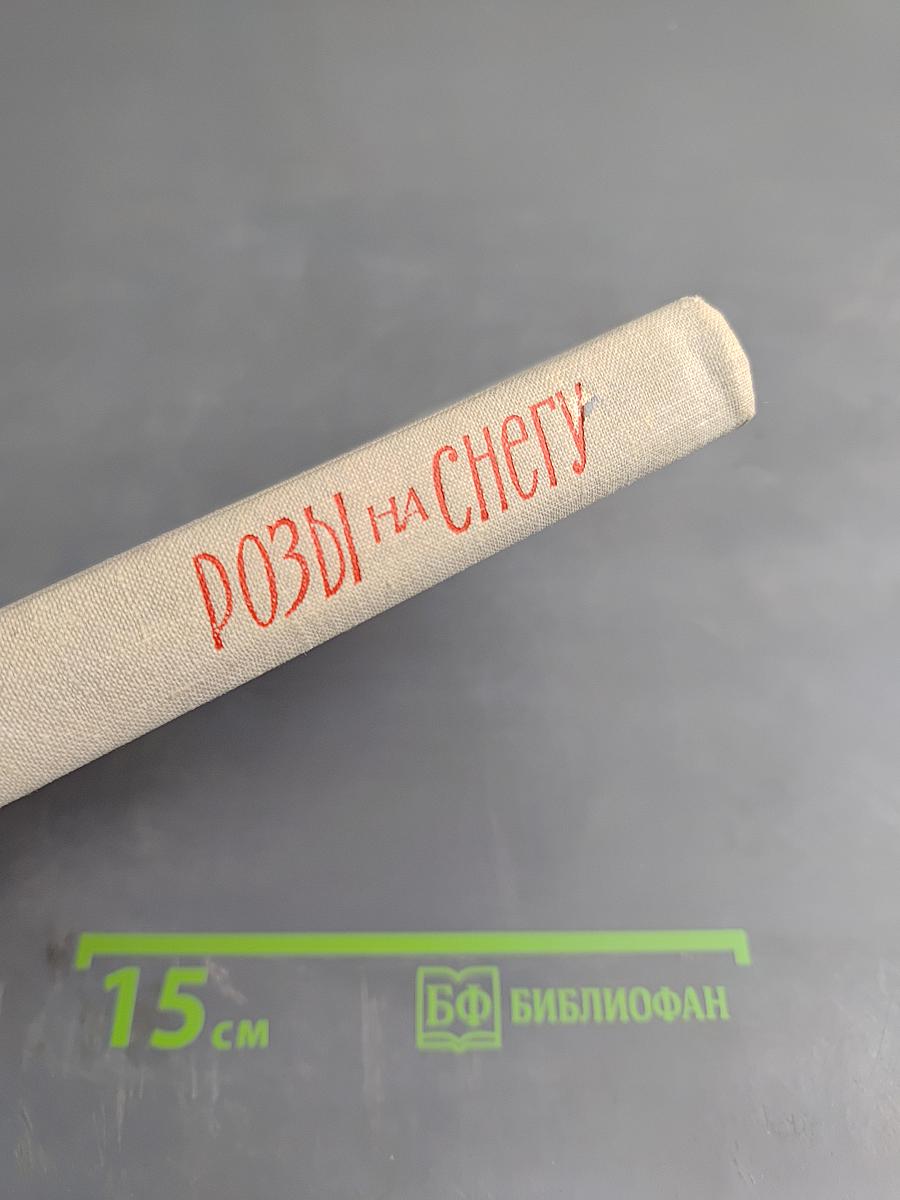 Розы на снегу