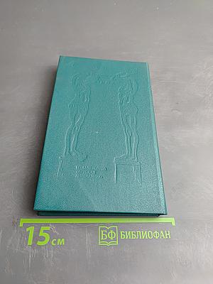 Что я видел в Эрмитаже?