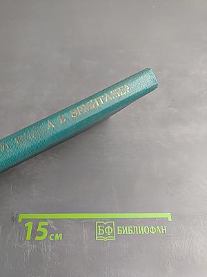 Что я видел в Эрмитаже?