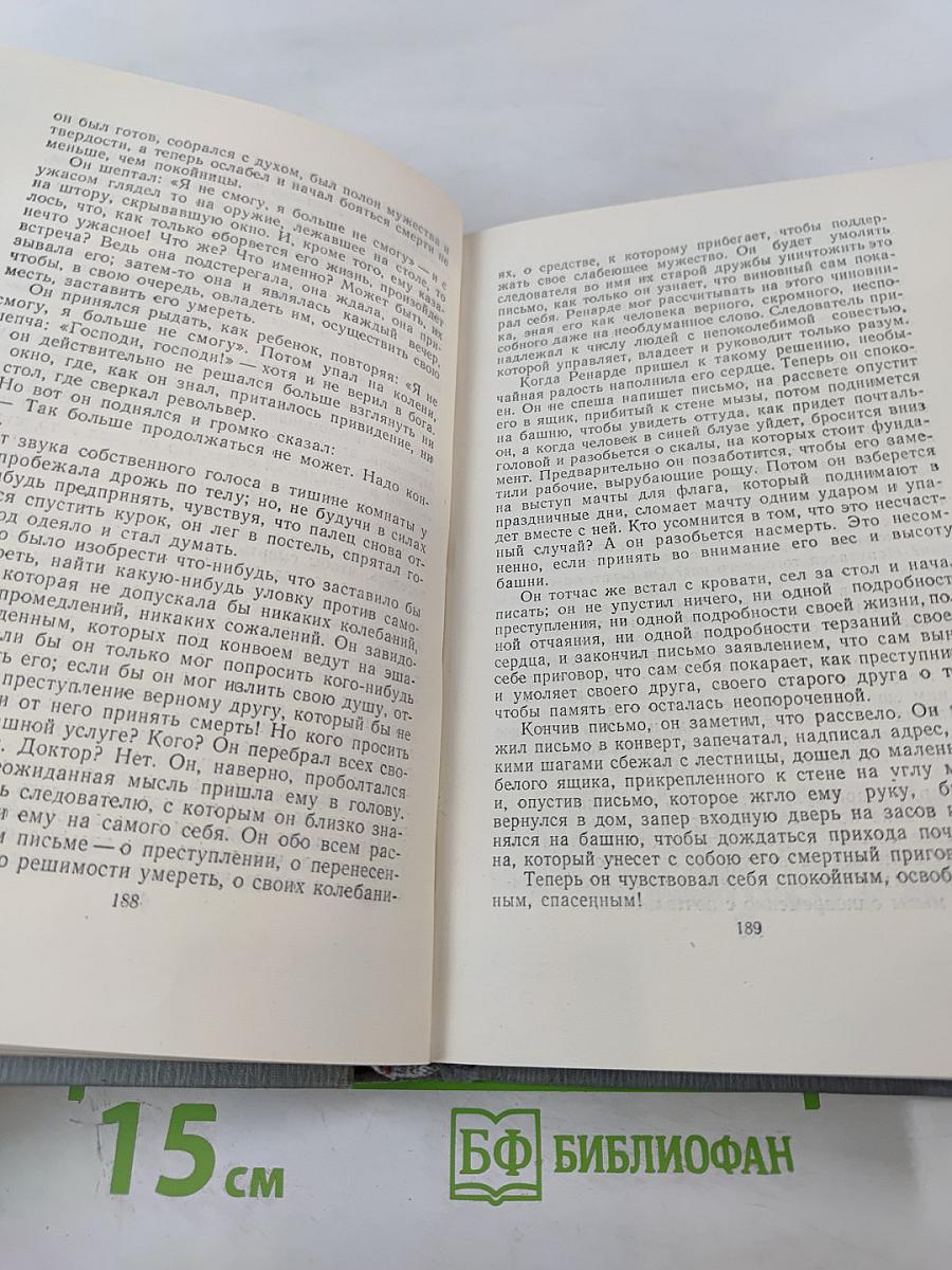 Полное собрание сочинений в 12 томах. Том 6. Господин Паран