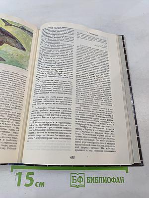 На суше и на море 1989