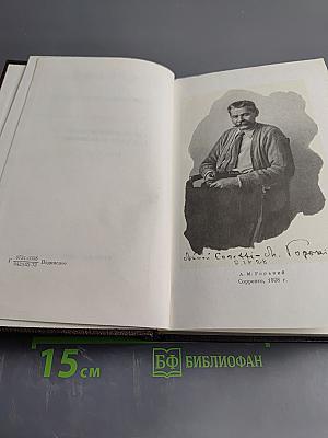 Полное собрание сочинений. Том 18: Дело Артамоновых. Рассказы и наброски 1922-1928