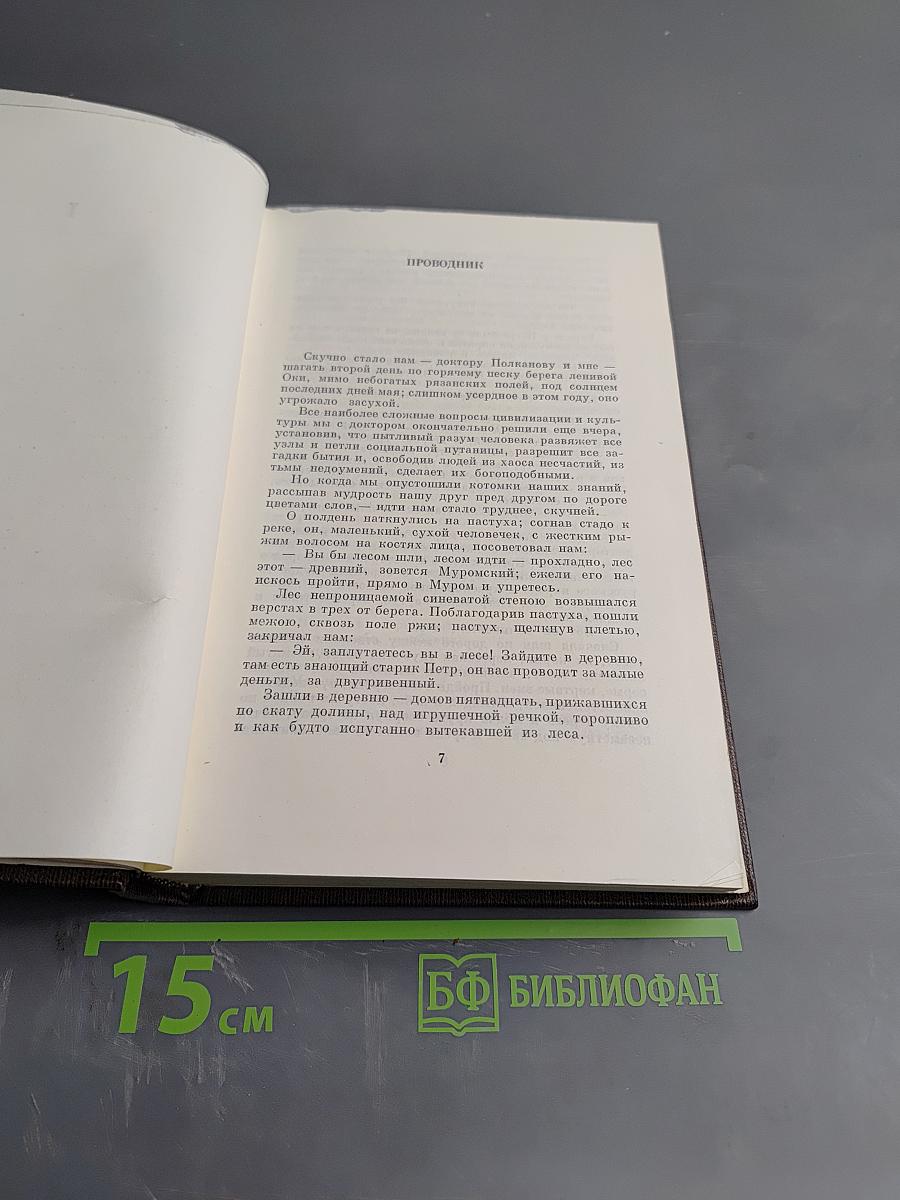 Полное собрание сочинений. Том 18: Дело Артамоновых. Рассказы и наброски 1922-1928