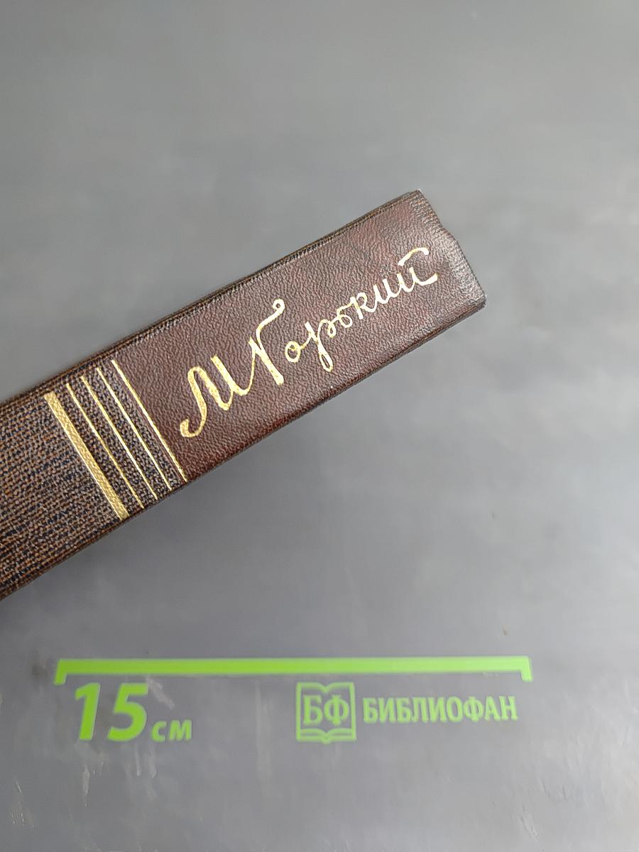 Полное собрание сочинений. Том 18: Дело Артамоновых. Рассказы и наброски 1922-1928