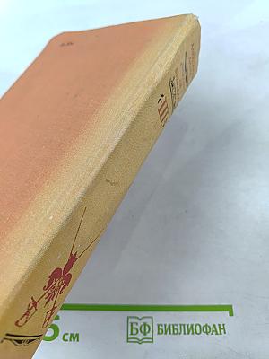 Виконт де Бражелон, или Десять лет спустя. Части 5, 6