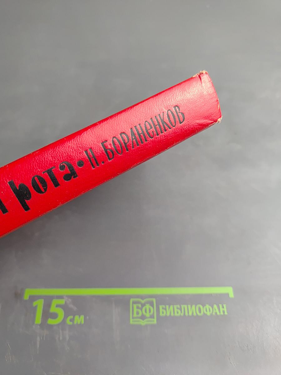 Тринадцатая рота