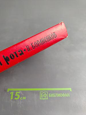 Тринадцатая рота