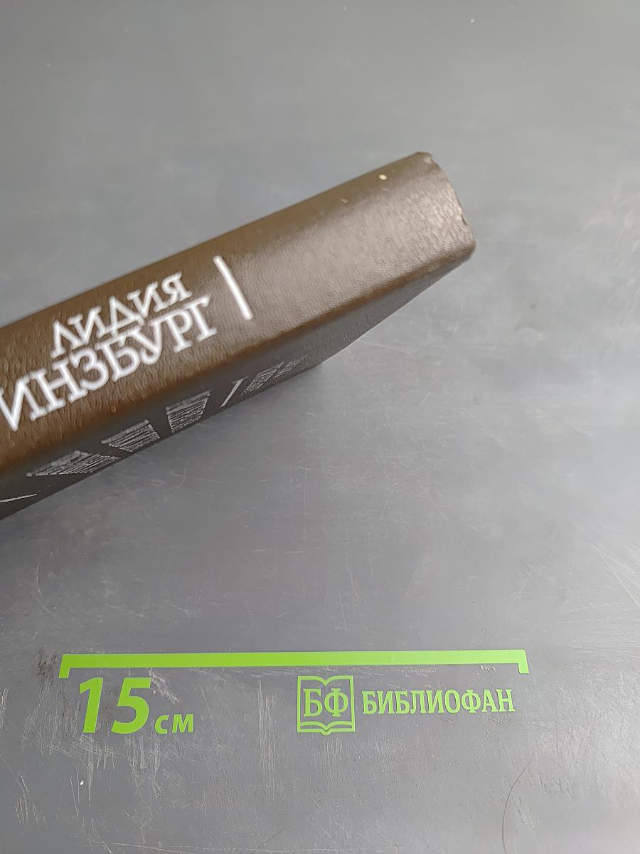 Литература в поисках реальности