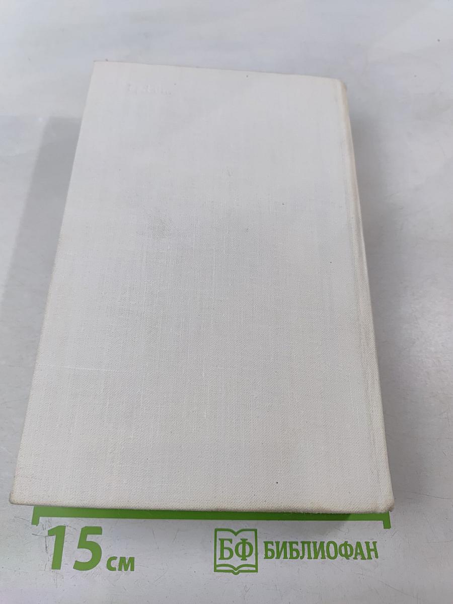 Кролик, беги. Давай поженимся