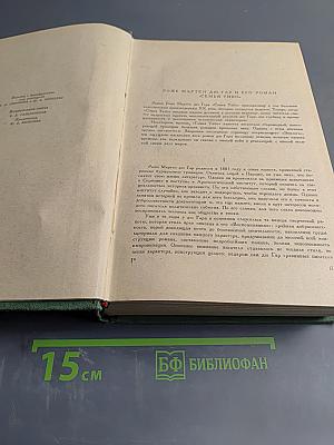 Семья Тибо. Том 1