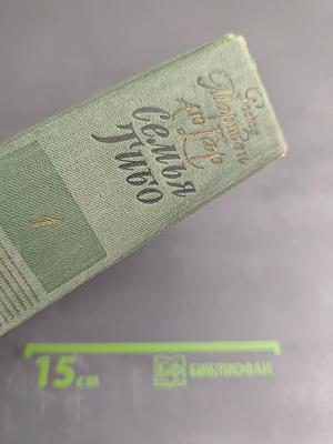 Семья Тибо. Том 1