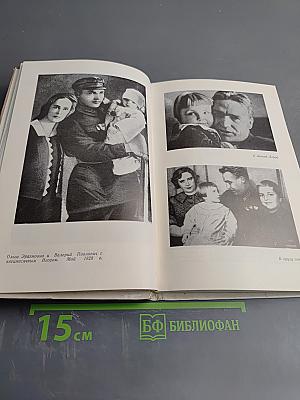 Валерий Павлович Чкалов