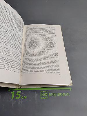 Валерий Павлович Чкалов