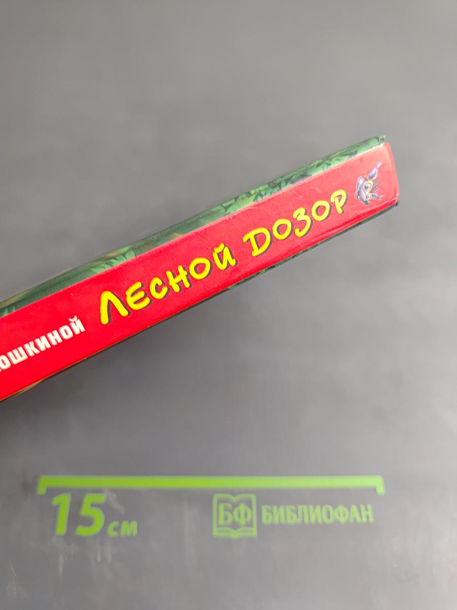 Лесной Дозор