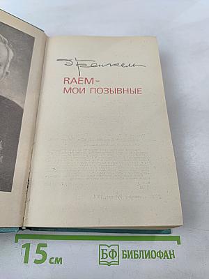 RAEM - Мои позывные