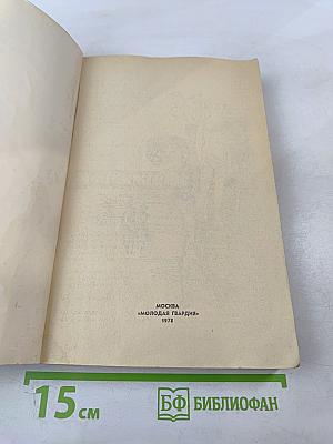 Зарубежный детектив