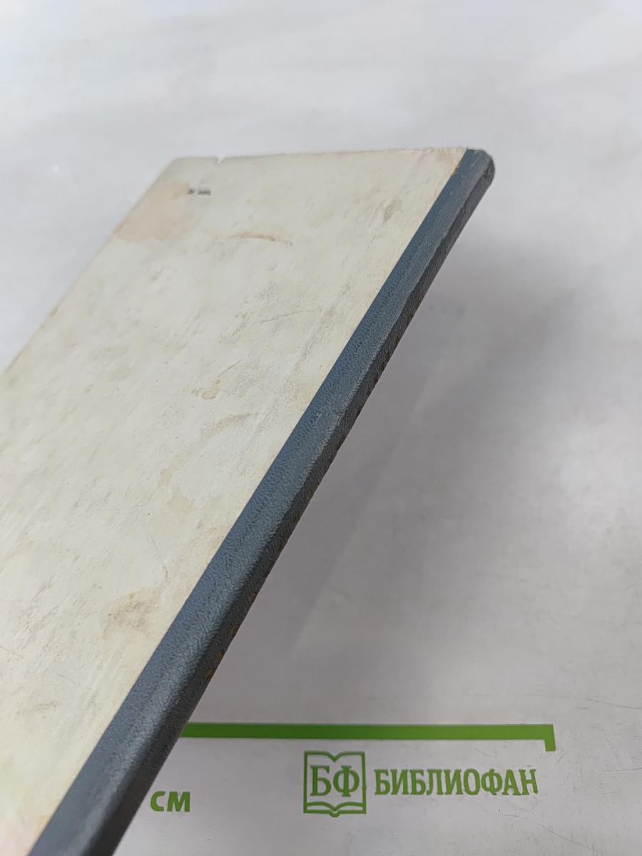 Маленькие рыцари