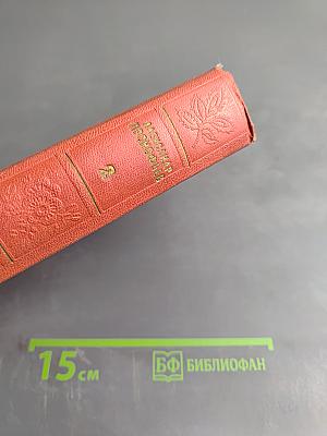 Сочинения. Том 2. Стихи и переводы