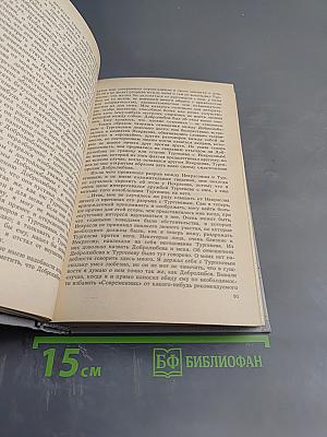 Горячим словом убежденья. «Современник» Некрасова–Чернышевского